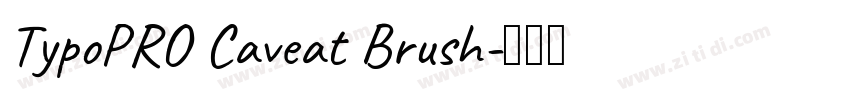 TypoPRO Caveat Brush字体转换